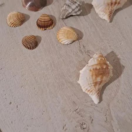 Дом отдыха Perla Del Mare Траппето